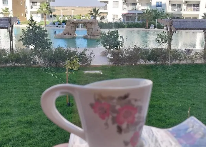 Pool View With Facilities Apartament