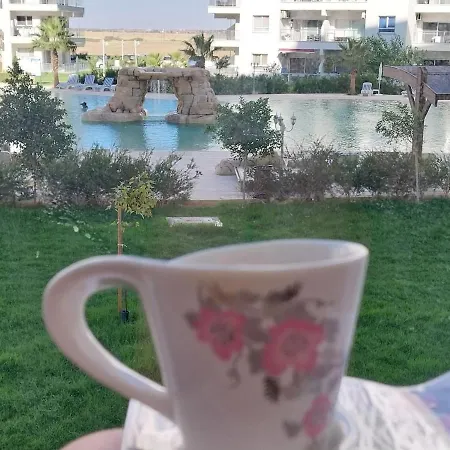 Pool View With Facilities Apartament